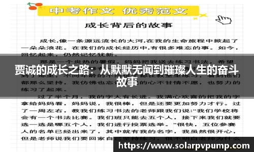 贾诚的成长之路：从默默无闻到璀璨人生的奋斗故事